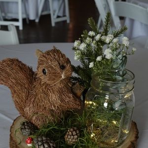 Sisal woodland creatures baby shower decor